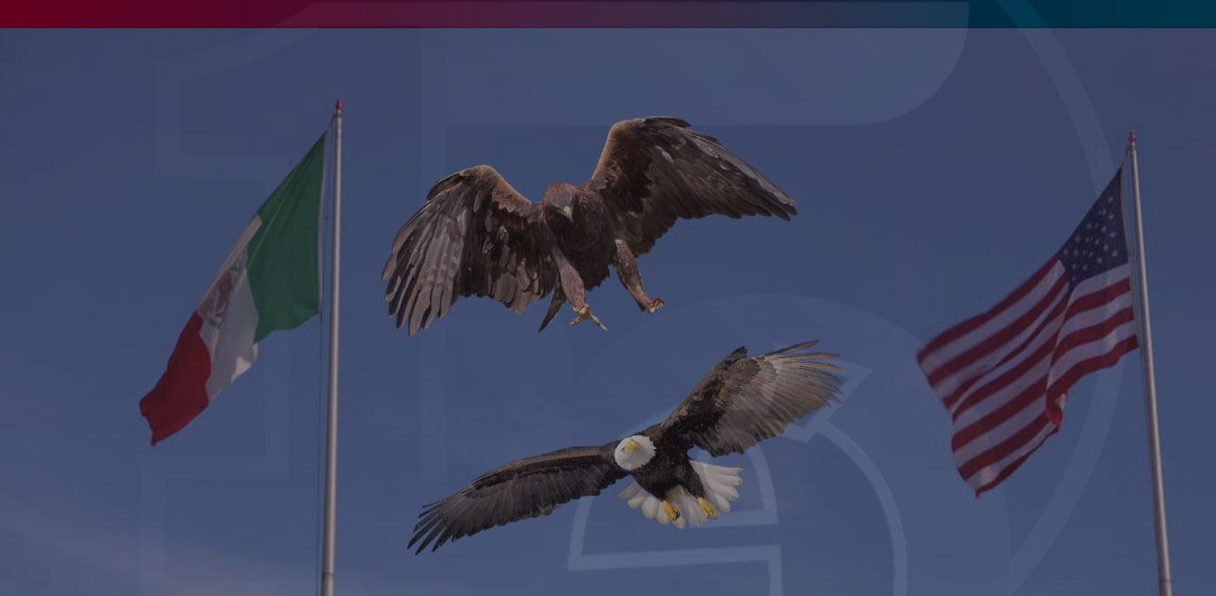 El choque de las águilas (México, nación singular)
