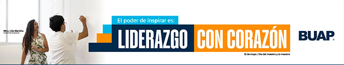 Banner principal top 