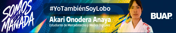 Banner principal top 
