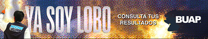 Banner principal top 